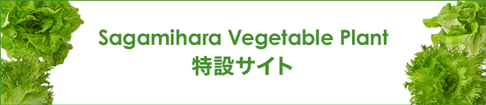 Sagamihara Vegetable Plantの特設サイト
